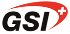GSI GeoSolutions International